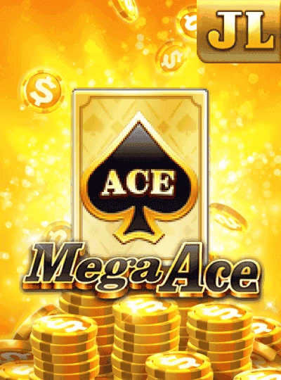Mega ball bingo cover